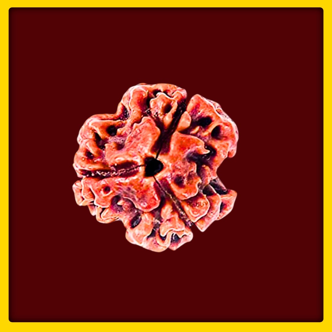 SDRPROD23421 - 1763640885.jpg